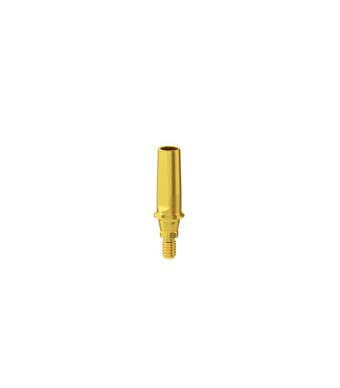 Esthetic Simply Straight Abutment H1.0mm CHC - 1