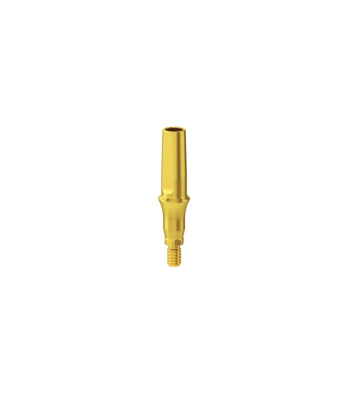 Esthetic Simply Straight Abutment H1.0mm CHC - 1