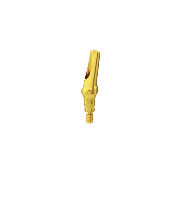 Esthetic Simply Straight Abutment H1.0mm CHC - 1