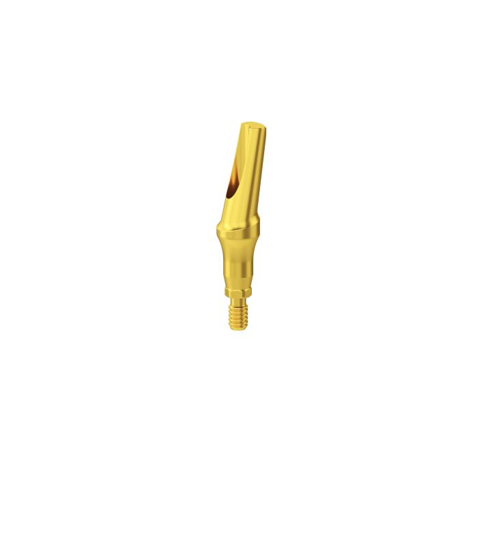 Esthetic Simply Straight Abutment H1.0mm CHC - 1
