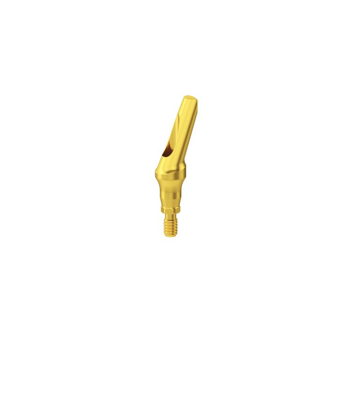 Esthetic Simply Straight Abutment H1.0mm CHC - 1