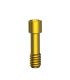 Abutment Screw CHC - 1