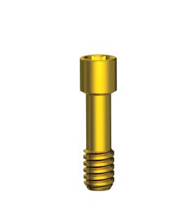 Abutment Screw CHC - 1