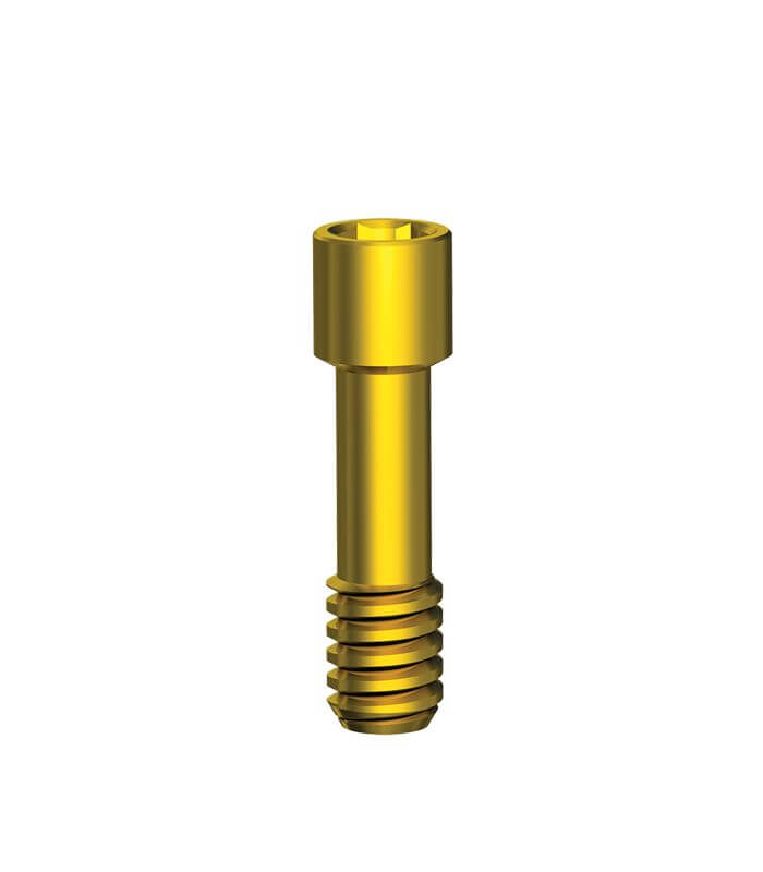 Abutment Screw CHC - 1