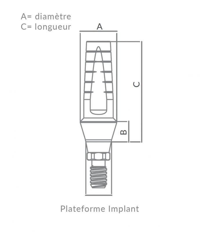 Esthetic Simply Straight Abutment CHC - 2