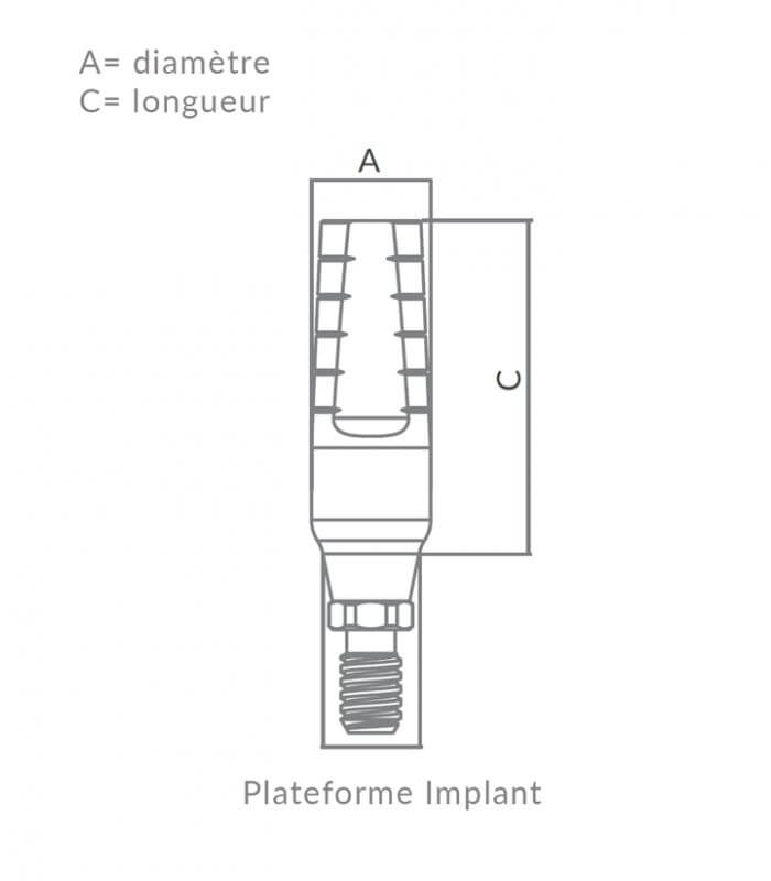Esthetic Standard Abutment CHC
