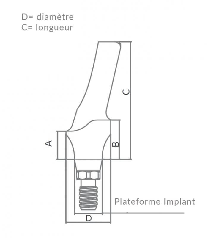 Esthetic Anatomic Angled Abutments 15° CHC