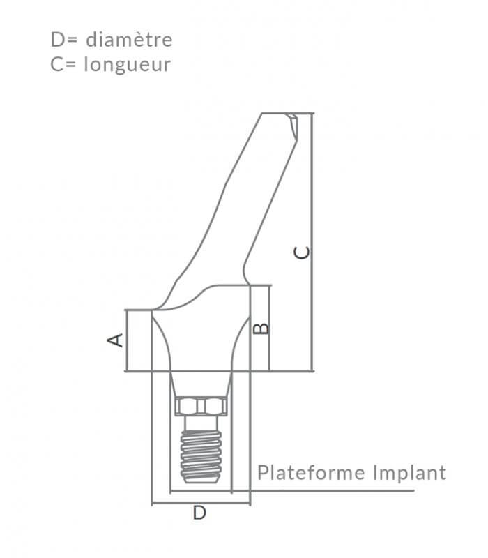 Esthetic Anatomic Angled Abutments 25° CHC