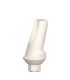 Angled Temporary PEEK Abutments 15°