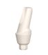Angled Temporary PEEK Abutments 15°