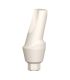 Angled Temporary PEEK Abutments 15°