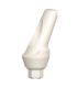 Angled Temporary PEEK Abutments 25°