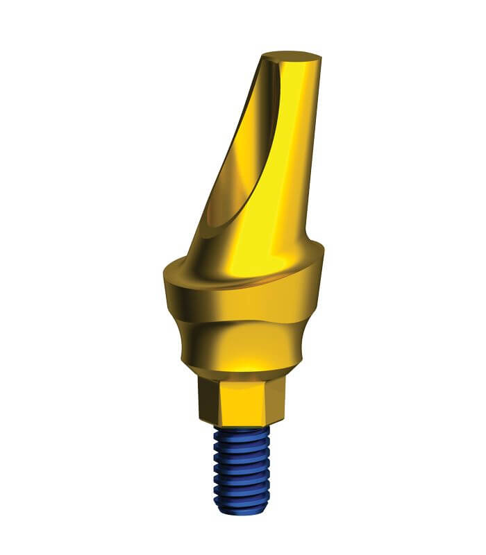 Angled Anatomic Abutment 15° IH