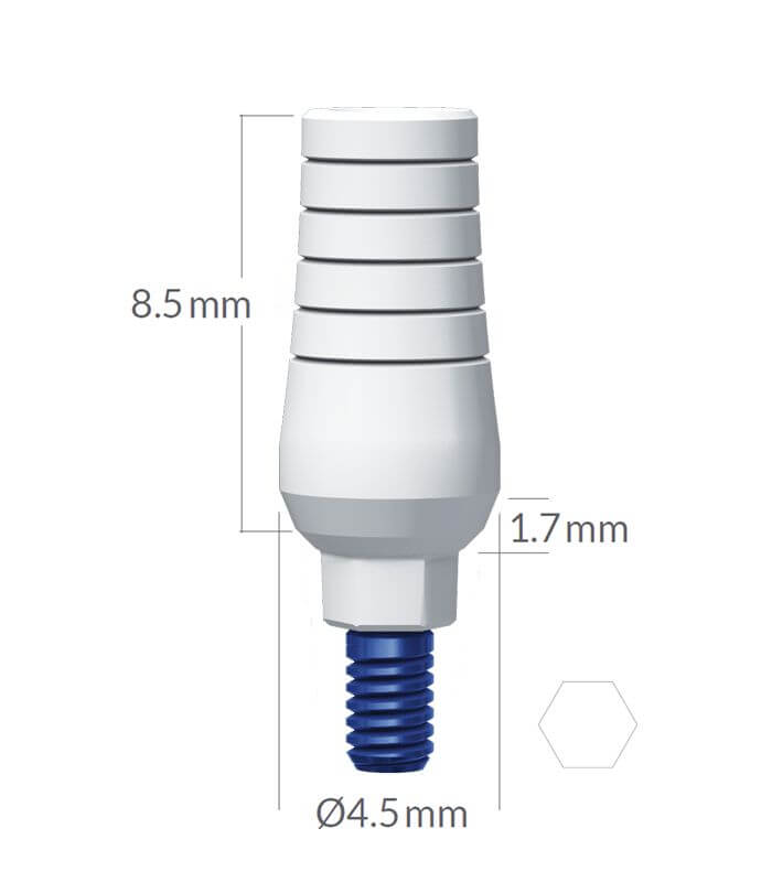 Plastic Abutments for Casting