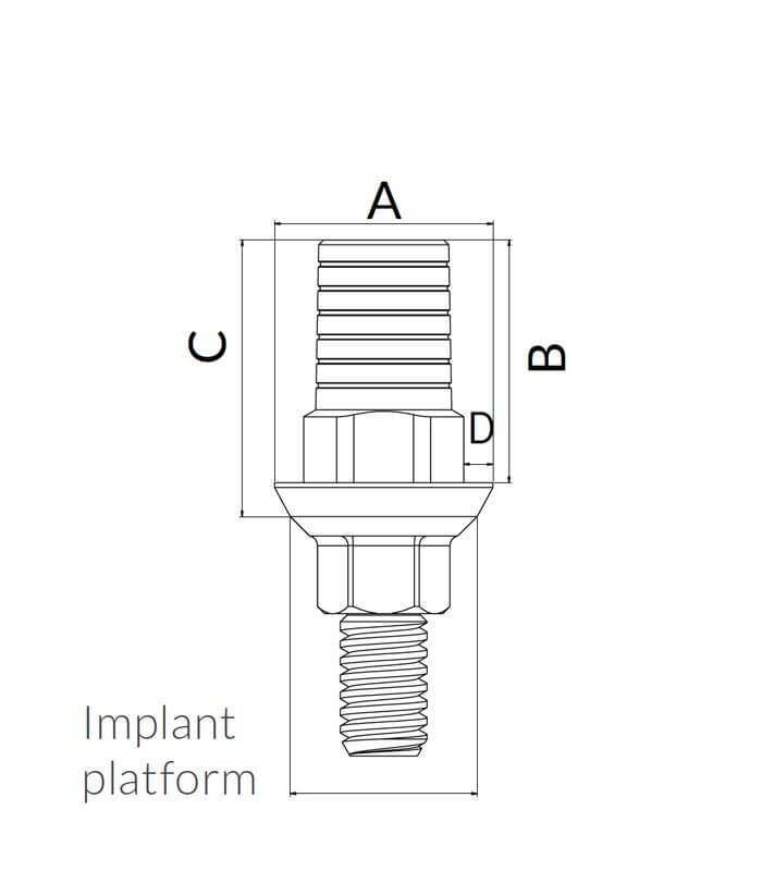 Ti Base Large non indexée 0.7 mm IH - 2