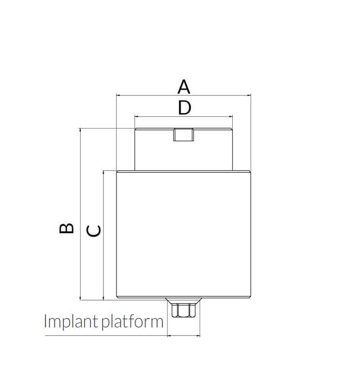 Pilier pré-usiné large IH + vis - 2